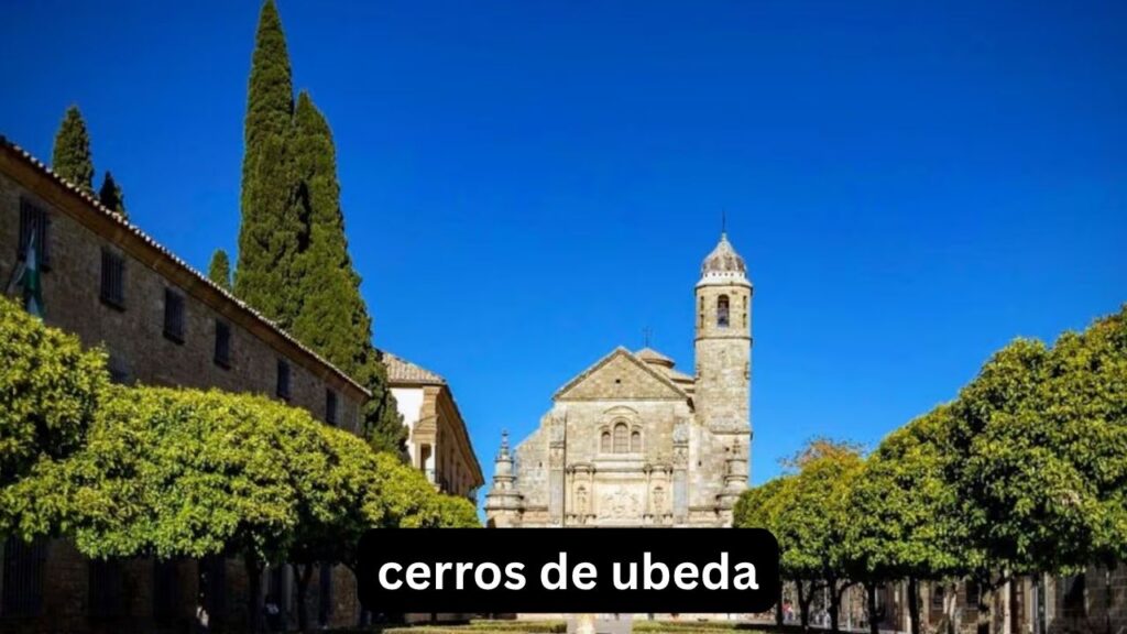 Cerros de Úbeda: aceite y origen de la expresión Cerros de Úbeda