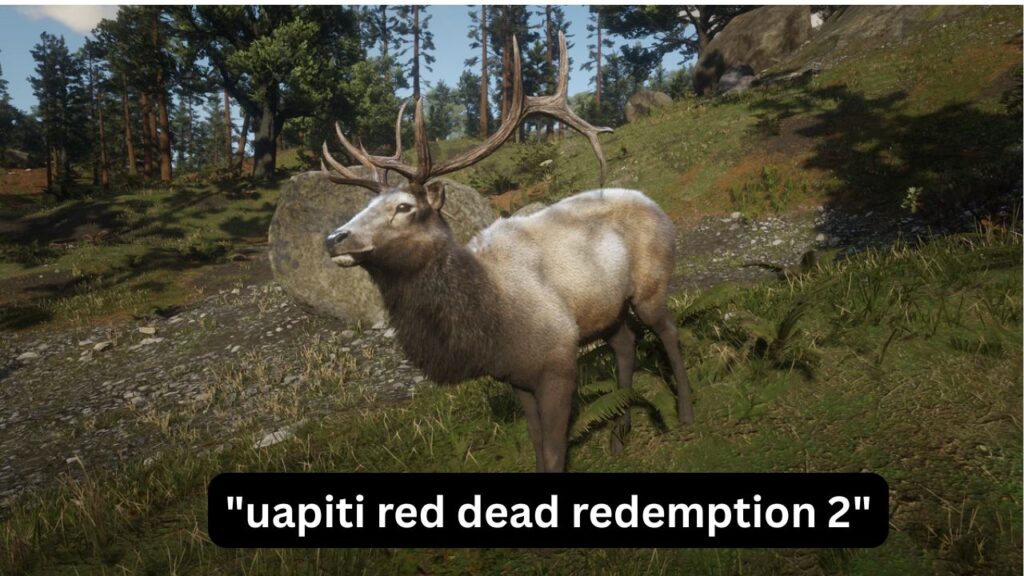 Uapiti Red Dead Redemption 2: ubicación y cómo cazarlo uapiti red dead redemption 2