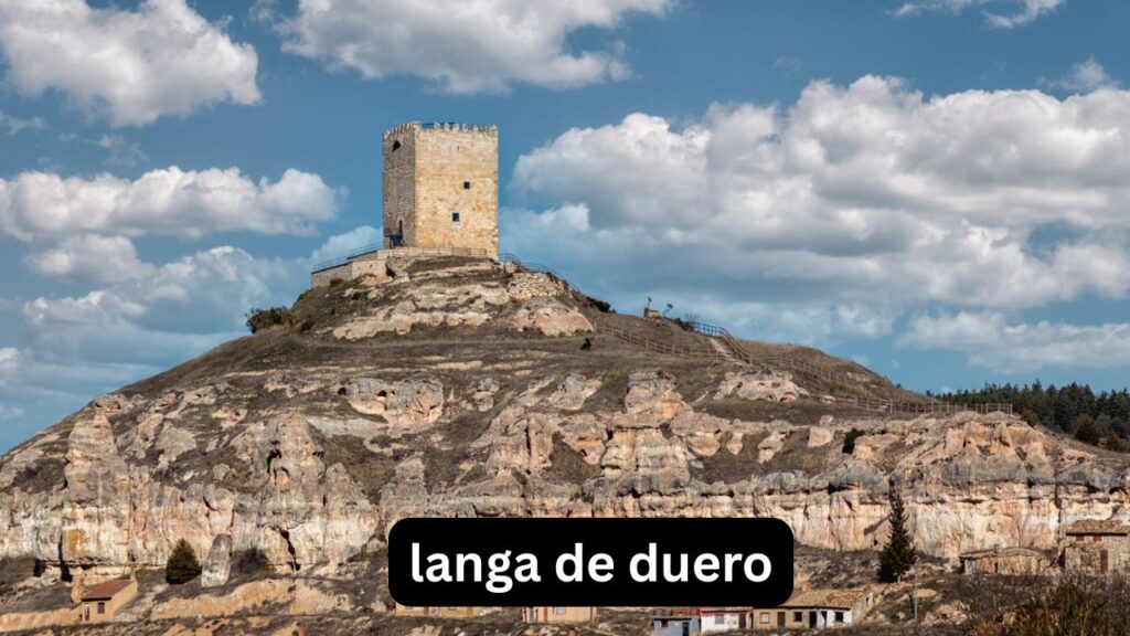 Langa de Duero: qué ver, tiempo y vida local Langa de Duero