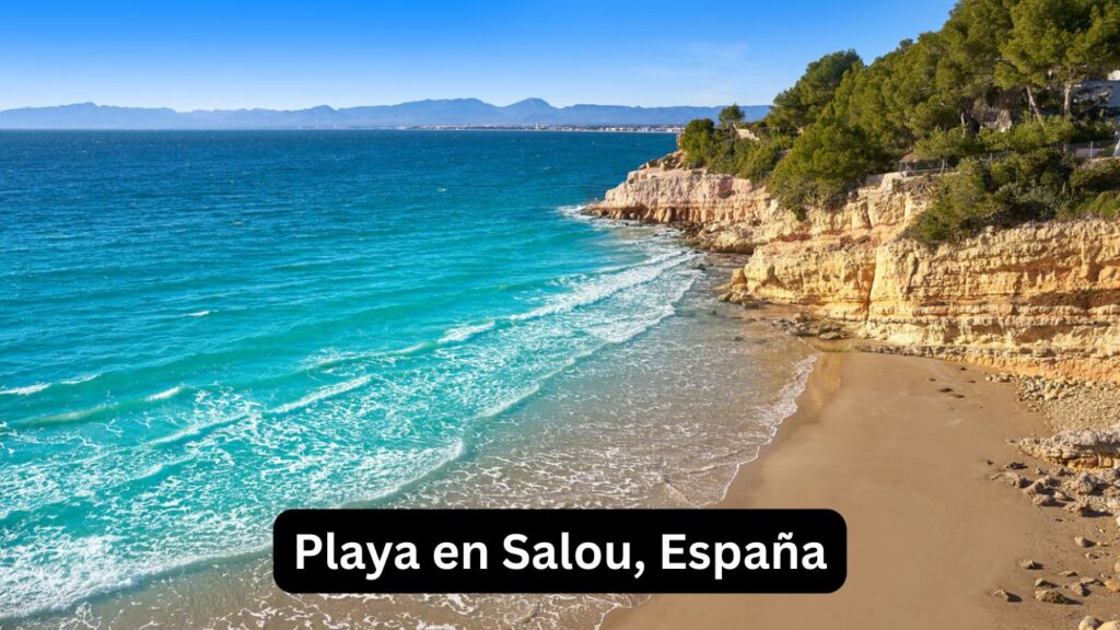 Playa en Salou, España: cuál elegir y dónde alojarse Playa en Salou, España